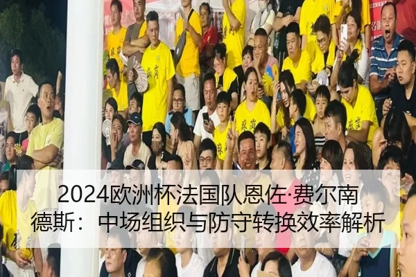 2024欧洲杯法国队恩佐·费尔南德斯：中场组织与防守转换效率解析