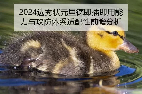 2024选秀状元里德即插即用能力与攻防体系适配性前瞻分析